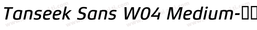Tanseek Sans W04 Medium字体转换